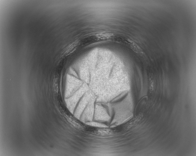 X0000053150666200508081412