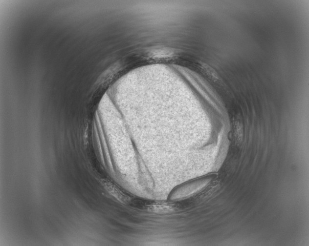 X0000053150668200508081412