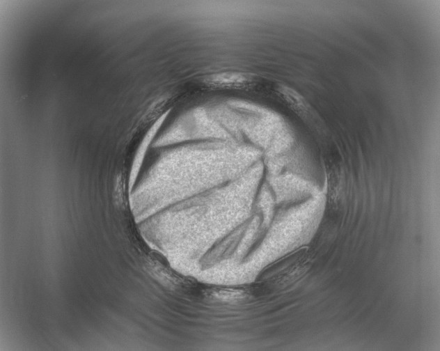 X0000053150669200508081412