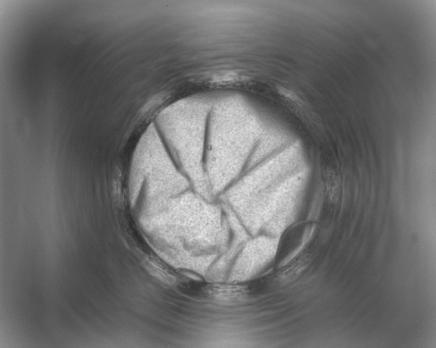 X0000053150670200508081412