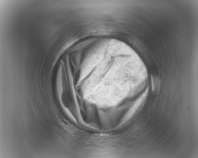 X0000053150675200508081411