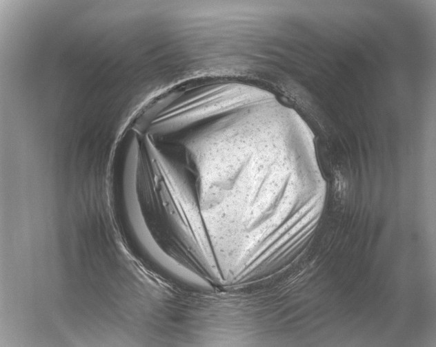 X0000053150676200508081411