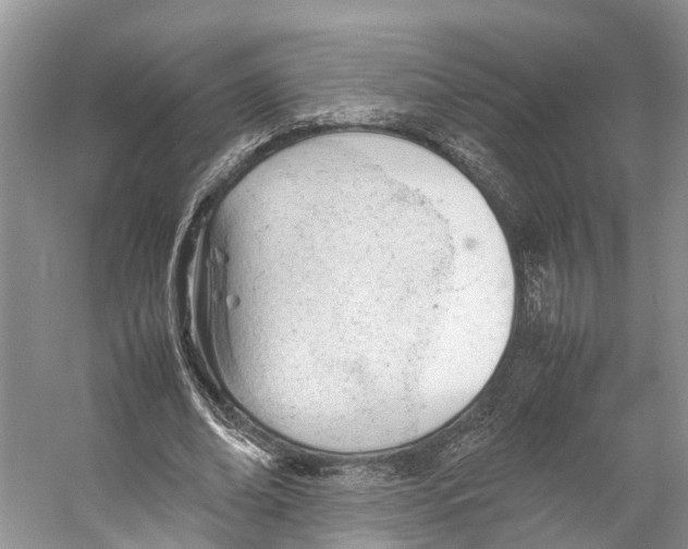 X0000053150678200508081411