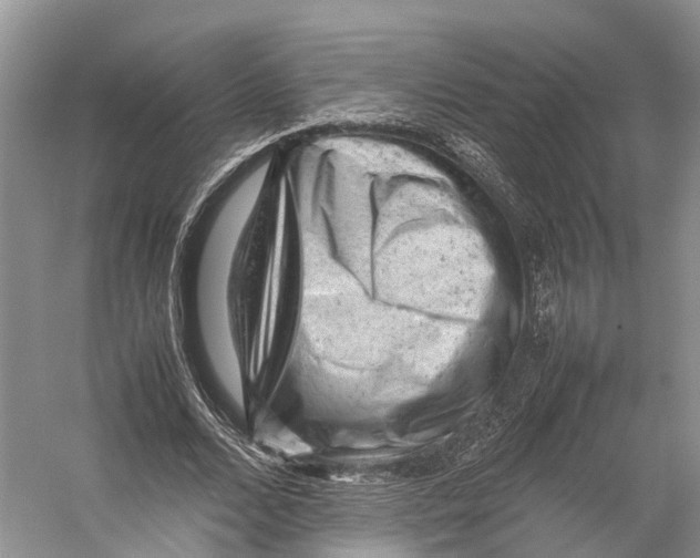 X0000053150680200508081411