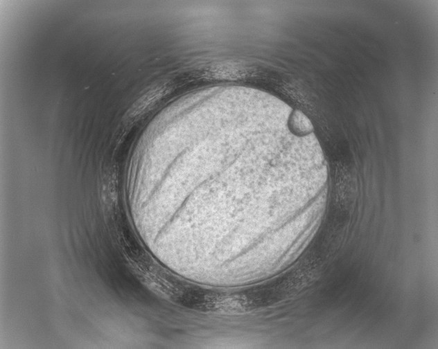 X0000053150683200508081411