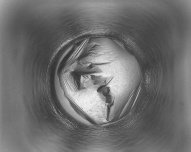 X0000053150684200508081411