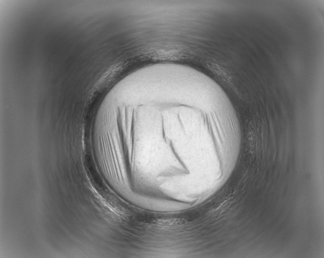 X0000053150686200508081411