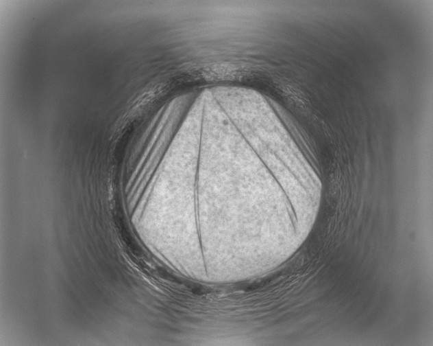 X0000053150687200508081411