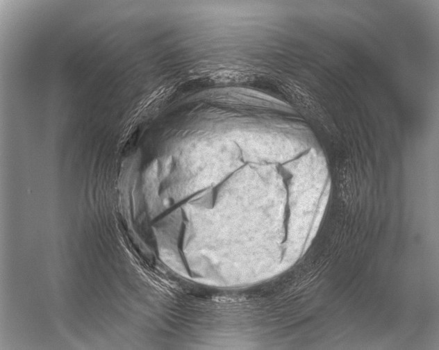 X0000053150690200508081411