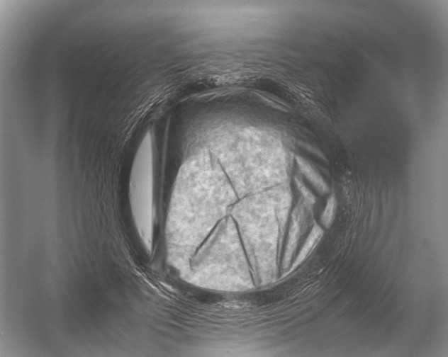 X0000053150691200508081411