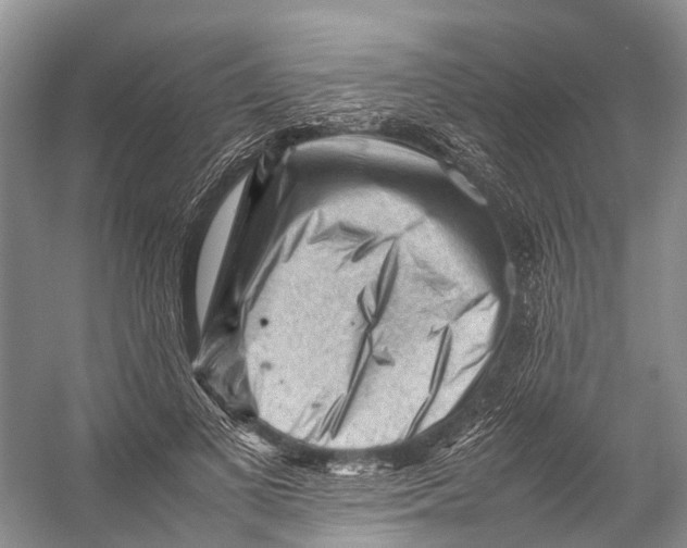 X0000053150693200508081411