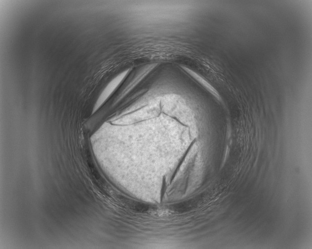 X0000053150695200508081411