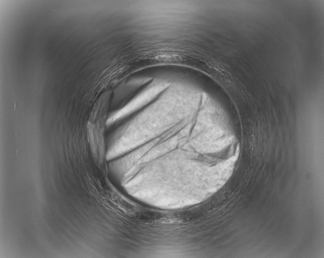 X0000053150696200508081411