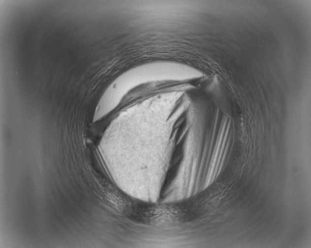 X0000053150697200508081411