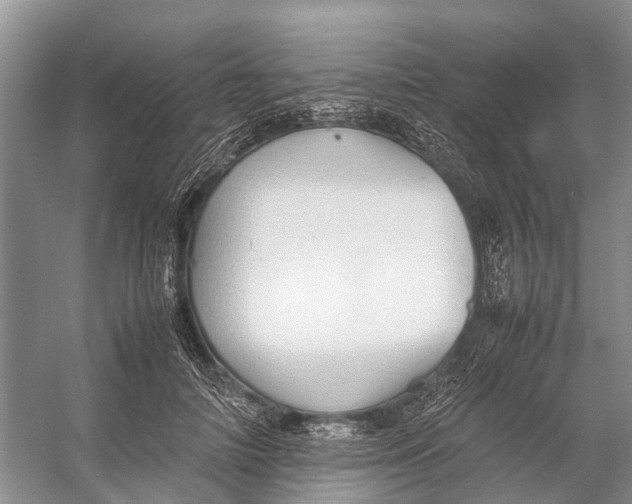 X0000053150698200508081411