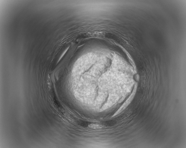 X0000053150699200508081411