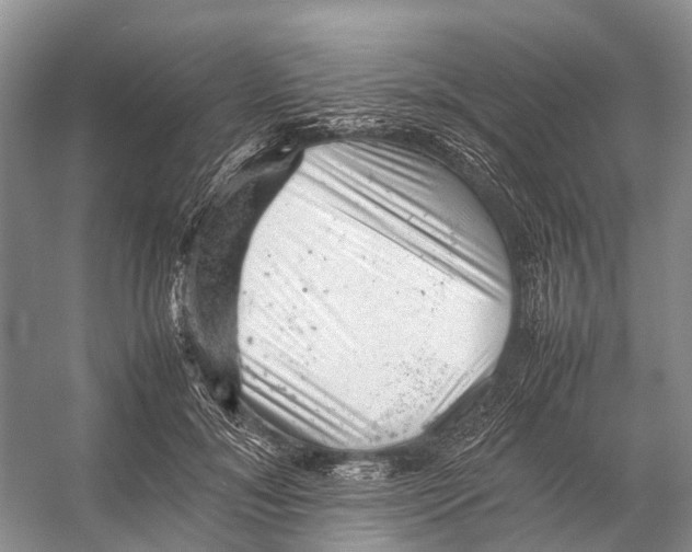 X0000053150700200508081411