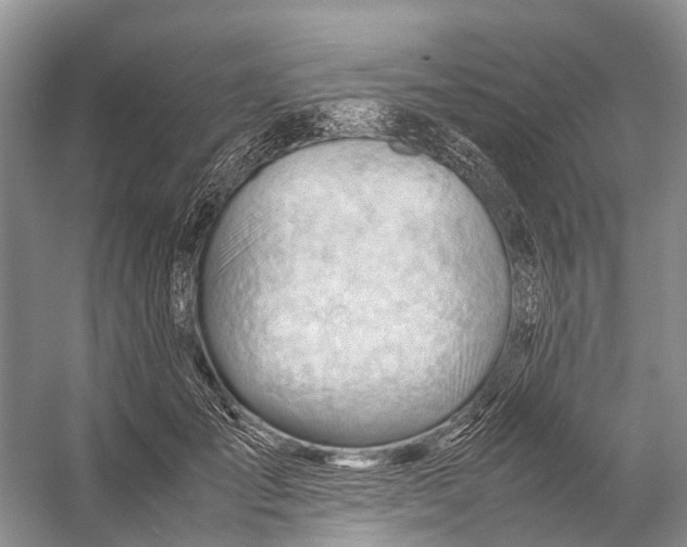 X0000053150701200508081411