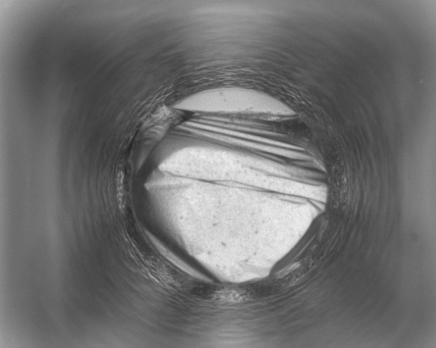 X0000053150704200508081410