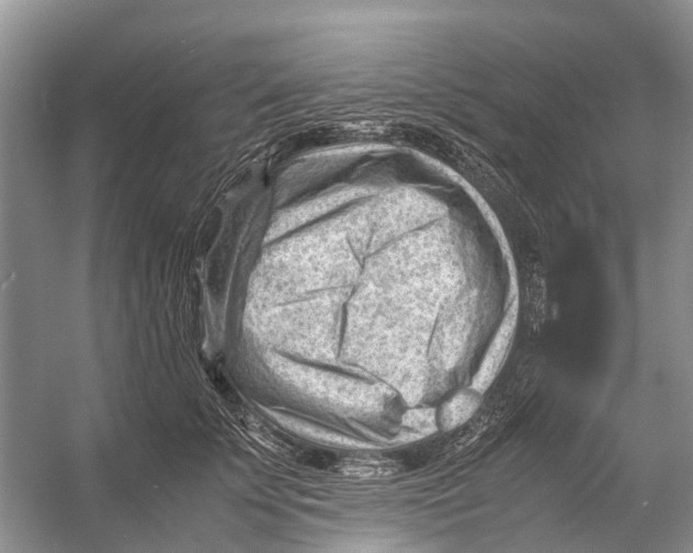 X0000053150707200508081410