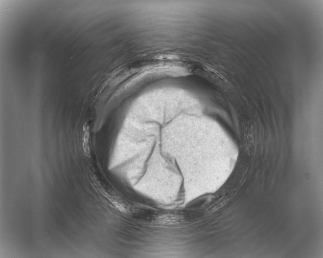 X0000053150708200508081410