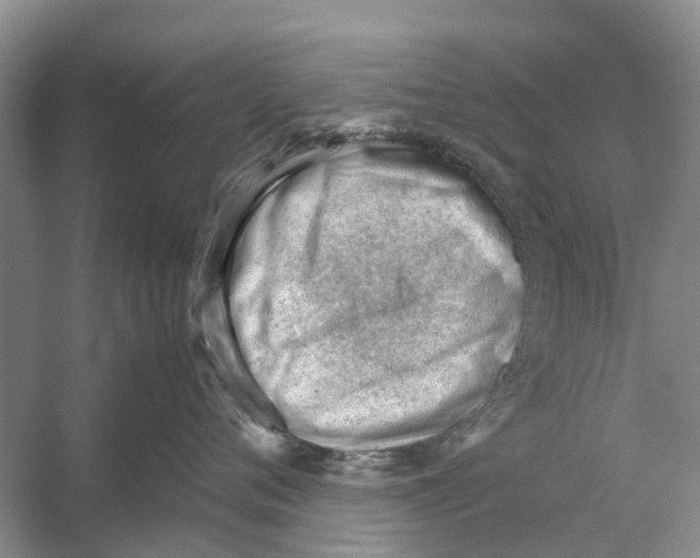 X0000053150720200508081410