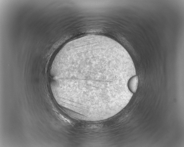 X0000053150721200508081409