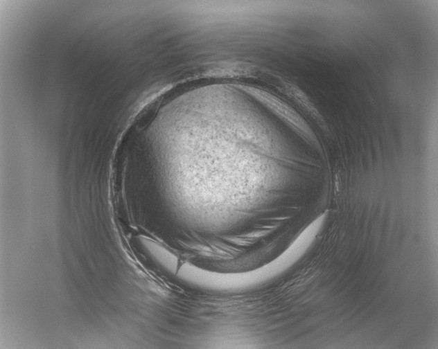 X0000053150724200508081409