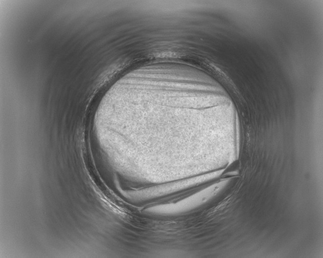 X0000053150725200508081409