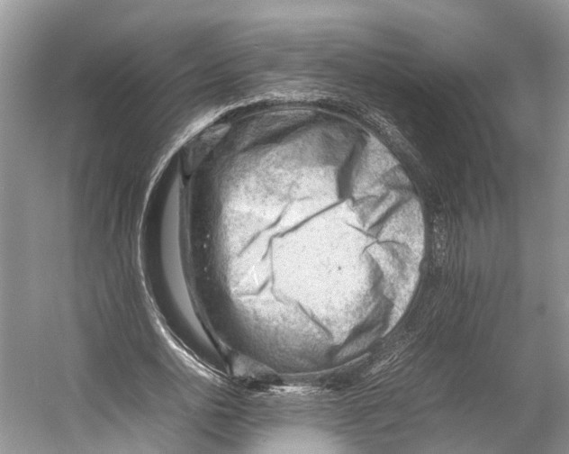 X0000053150726200508081409