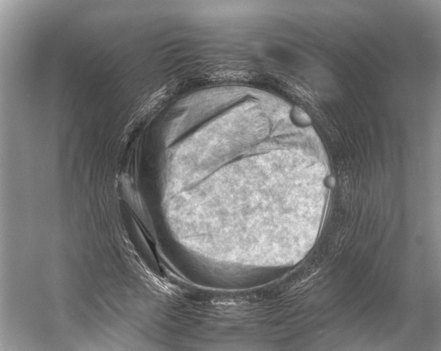 X0000053150729200508081410