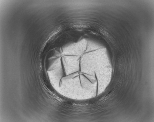 X0000053150731200508081410