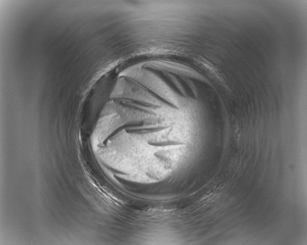 X0000053150732200508081410