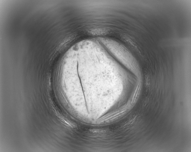 X0000053150733200508081410