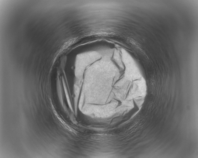 X0000053150734200508081410