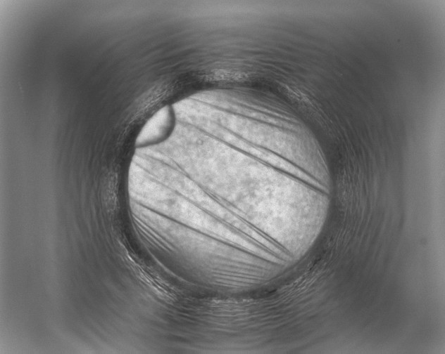 X0000053150735200508081410