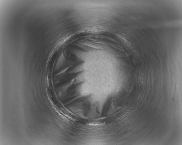 X0000053150736200508081410