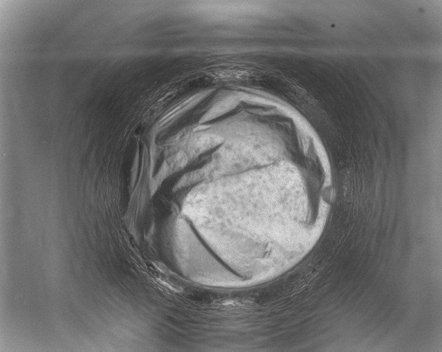 X0000053150737200508081410