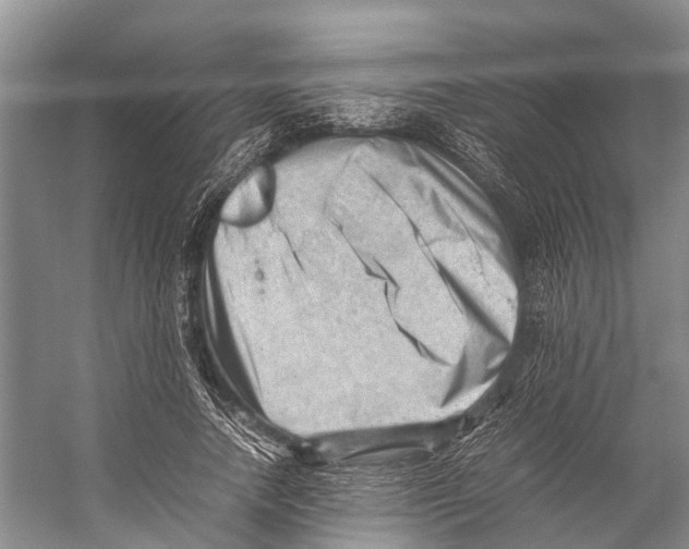 X0000053150738200508081410