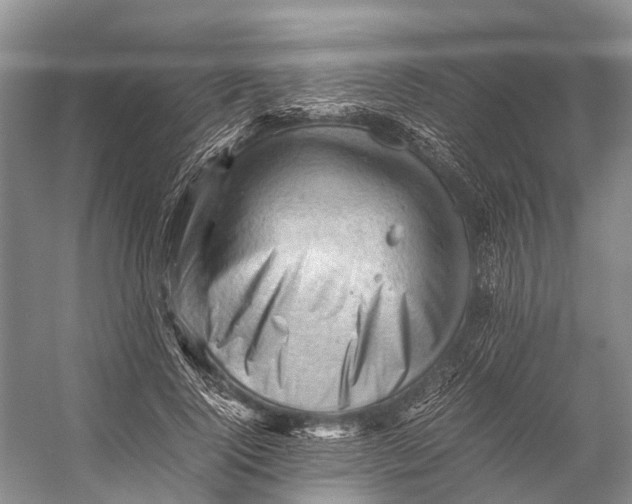 X0000053150740200508081410