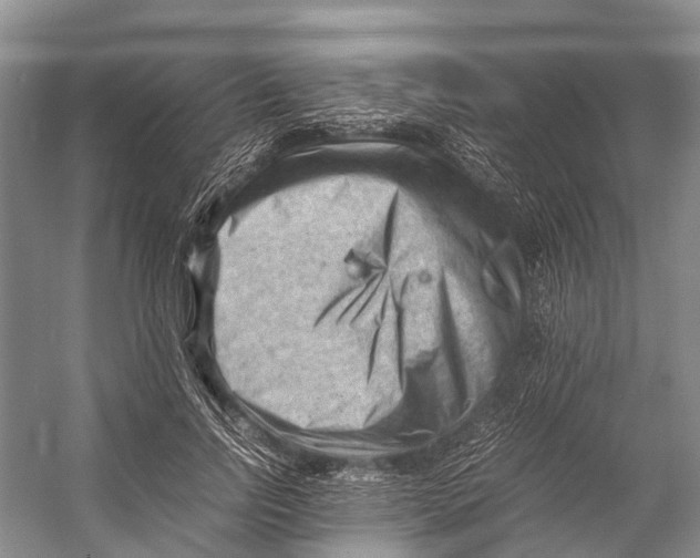 X0000053150742200508081410