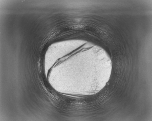 X0000053150743200508081410