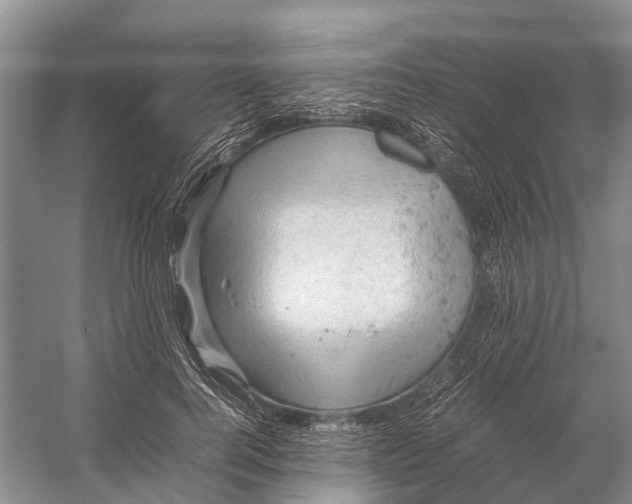 X0000053150744200508081410