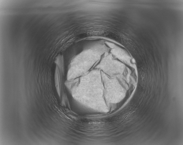 X0000053150745200508081410