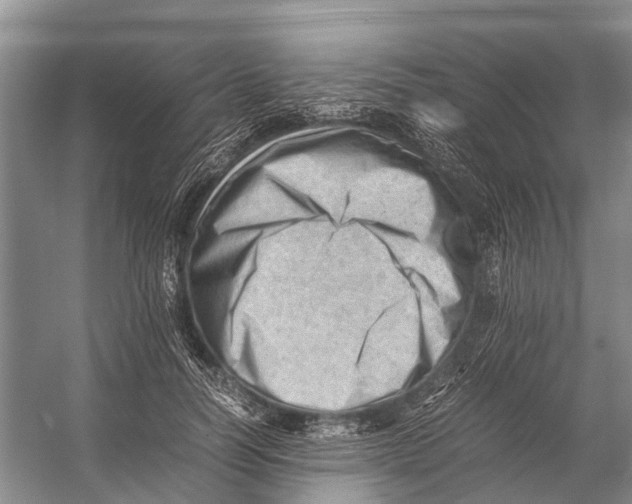 X0000053150746200508081410