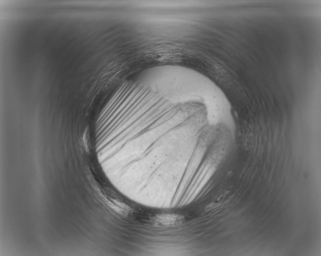 X0000053150748200508081410