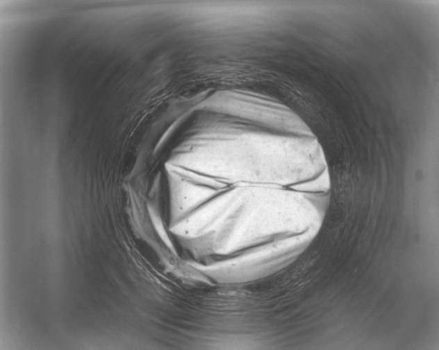 X0000053150752200508081410