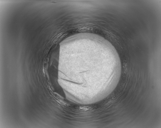 X0000053150753200508081410