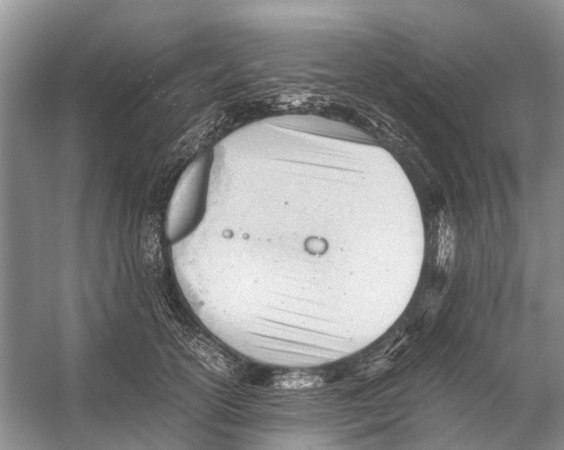 X0000053150754200508081410