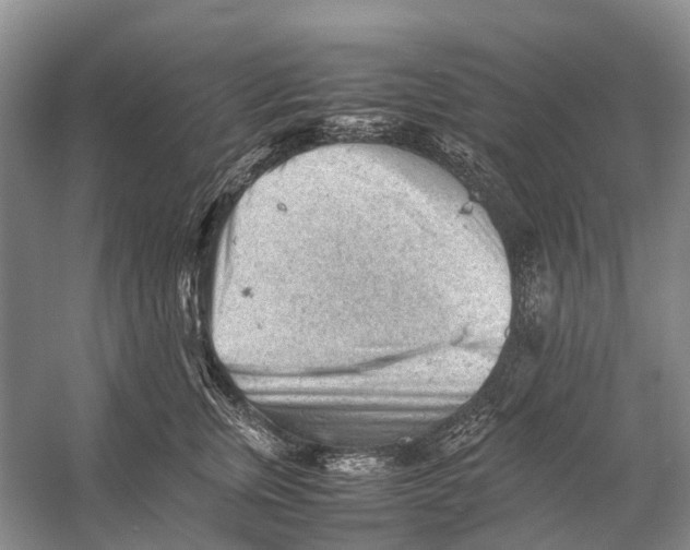 X0000053150759200508081410